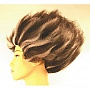 Lacey Wigs Cat  Style Wig